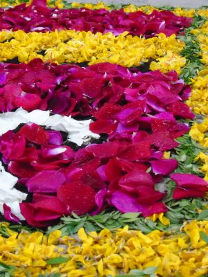 infiorata-campobasso