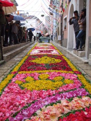 infiorata-campobasso